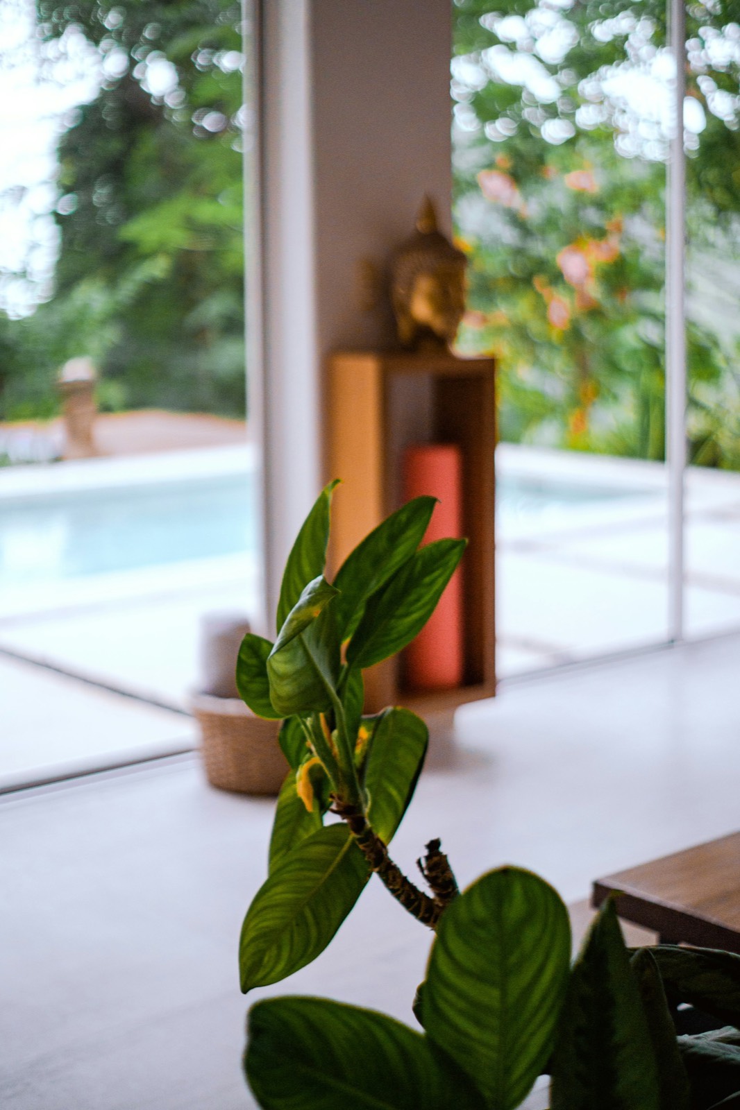 Heller, ruhiger Wohnbereich mit Blick auf einen Pool, einer Zimmerpflanze und einer Buddha-Figur mit Kerze – Sinnbild für Ruhe und Wohlbefinden